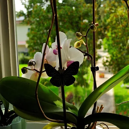 Gherardi - E Albergue